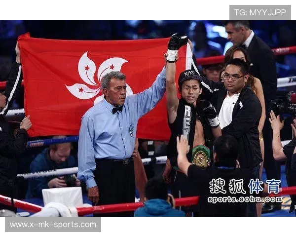 国际拳击裁判评分透明化平台用户反馈与改进计划，拳击比赛裁判打分