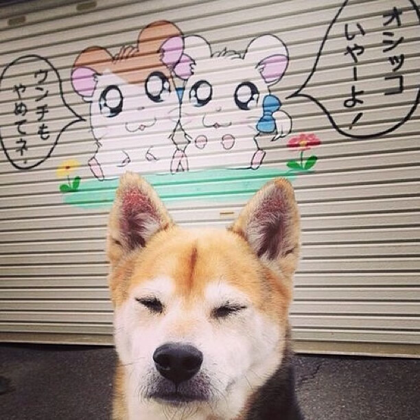 mk体育app-中超球队阵容轮换周期趋势建模，中超新赛季换人规则