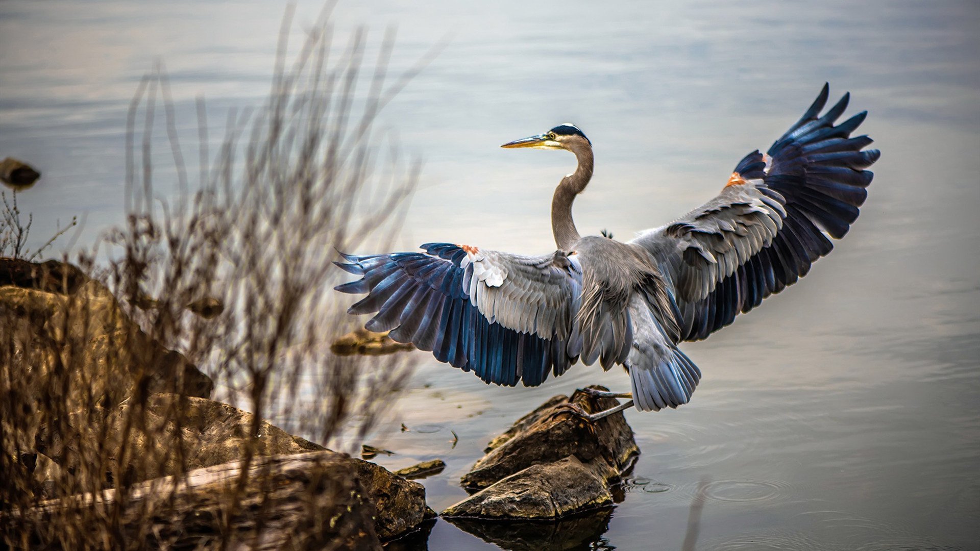 主力队长伤停是否会改变球队实力结构氛围，主力队员