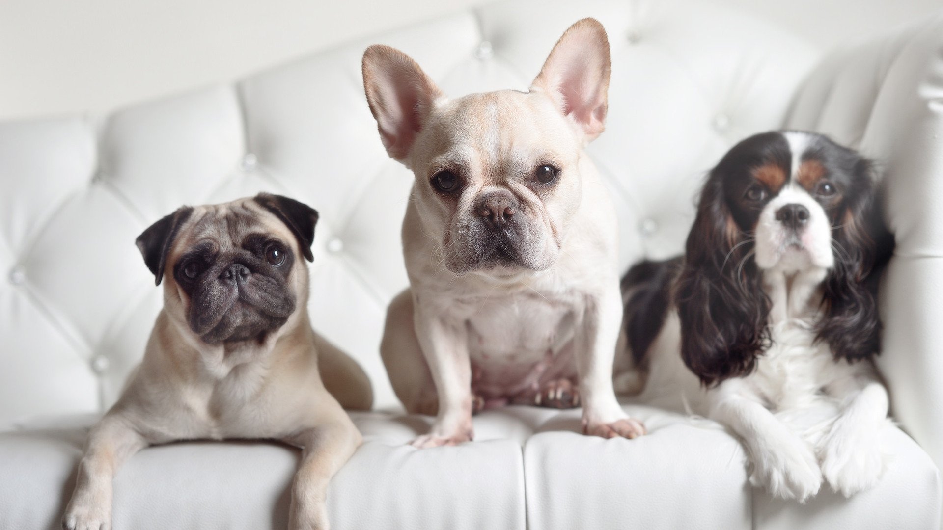 体育mk-博卡攻防转换慢，屡遭反击，博卡官方网站