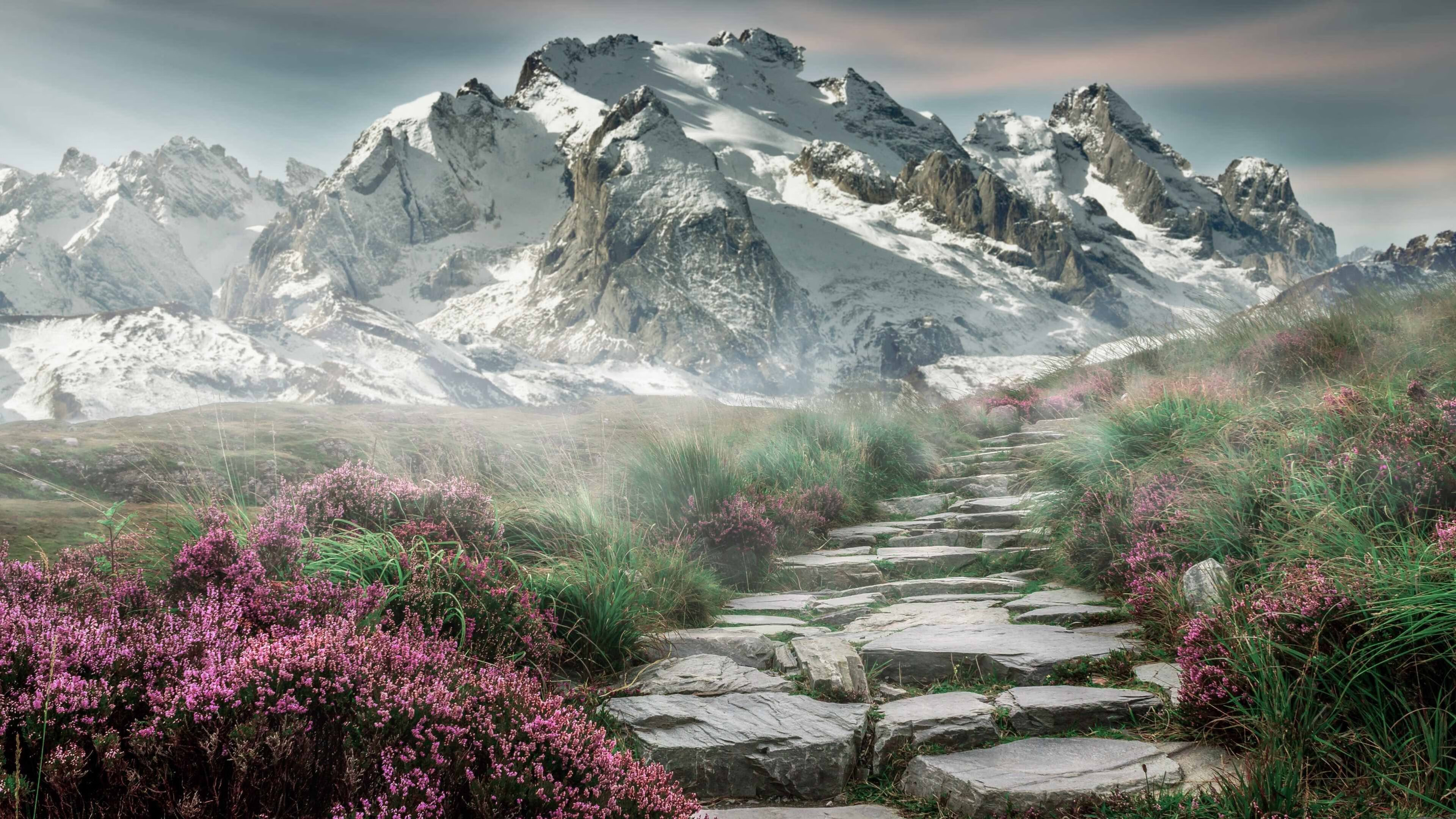 mk体育网页-奥运备战项目优化训练内容科学，备战奥运科学化训练人才培训班