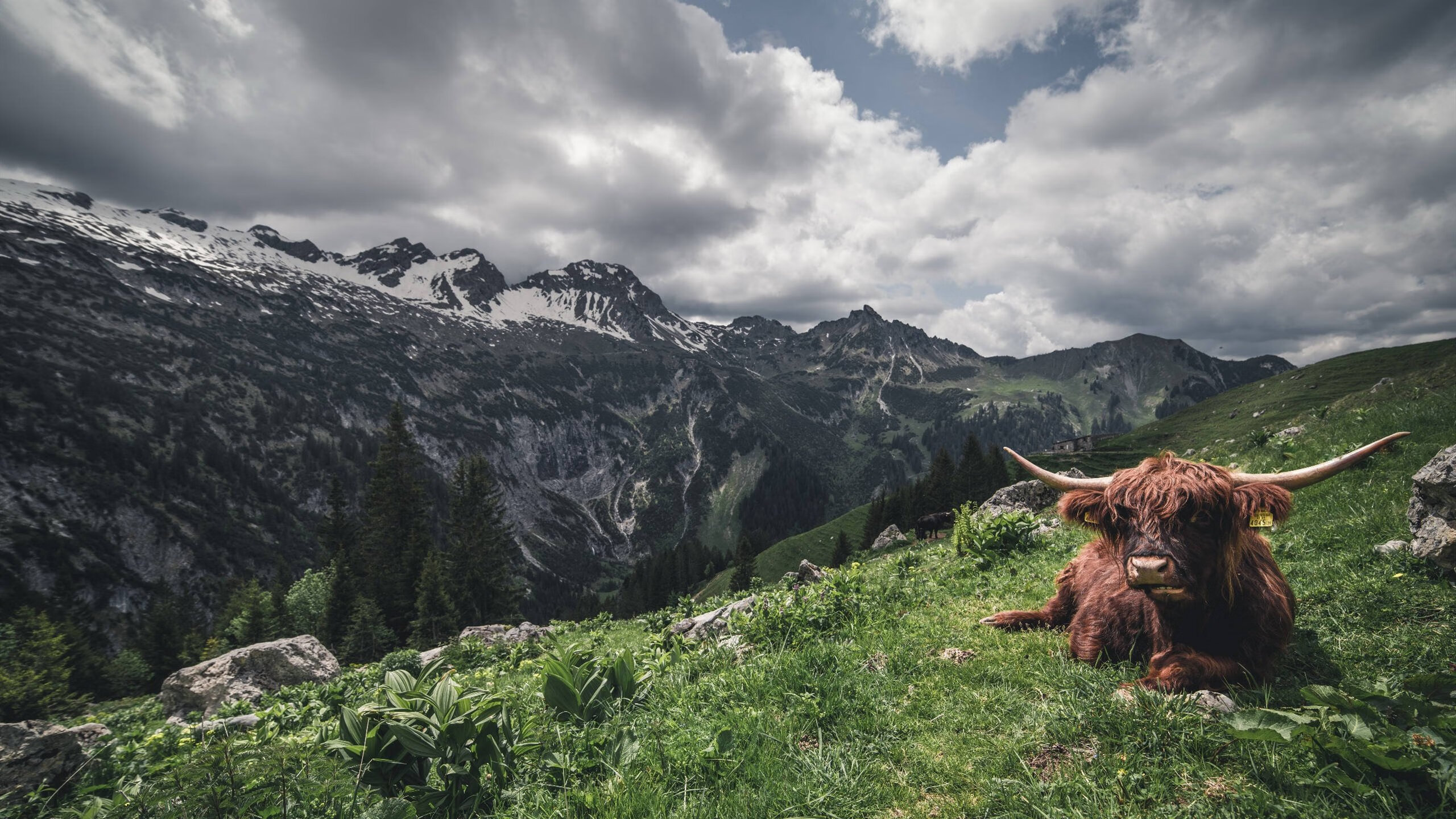 奥运备战项目优化训练内容科学，备战奥运科学化训练人才培训班