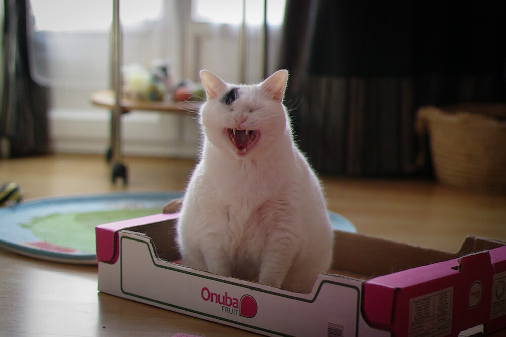 掩护战术中防守节奏破坏点的识别方法，掩护战术中防守节奏破坏点的识别方法是