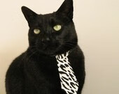 深圳队新赛季签约重点引进国内顶级球员,深圳队首发名单