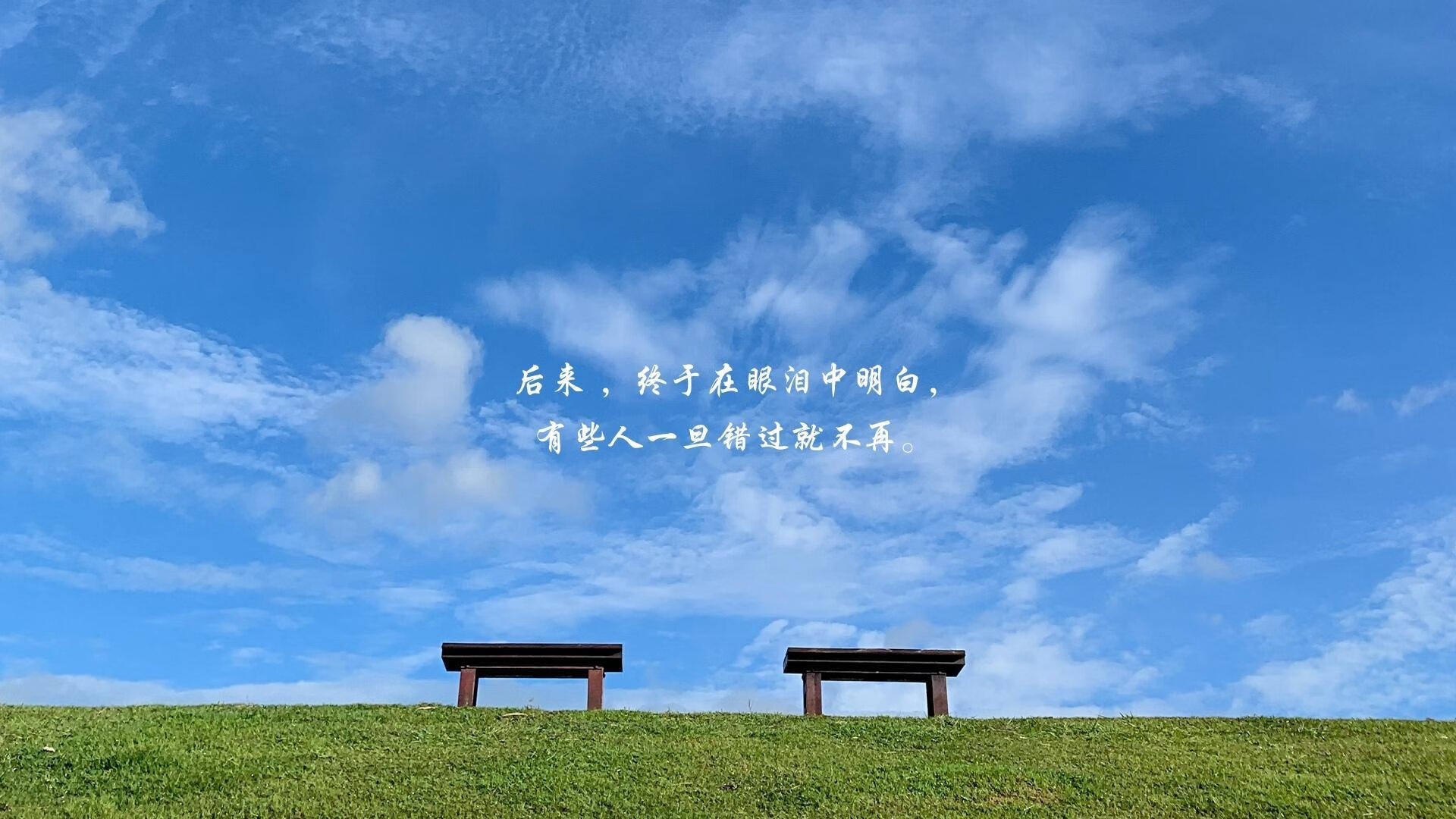 世界杯精彩纷呈：每一秒都不容错过！，世界杯场面