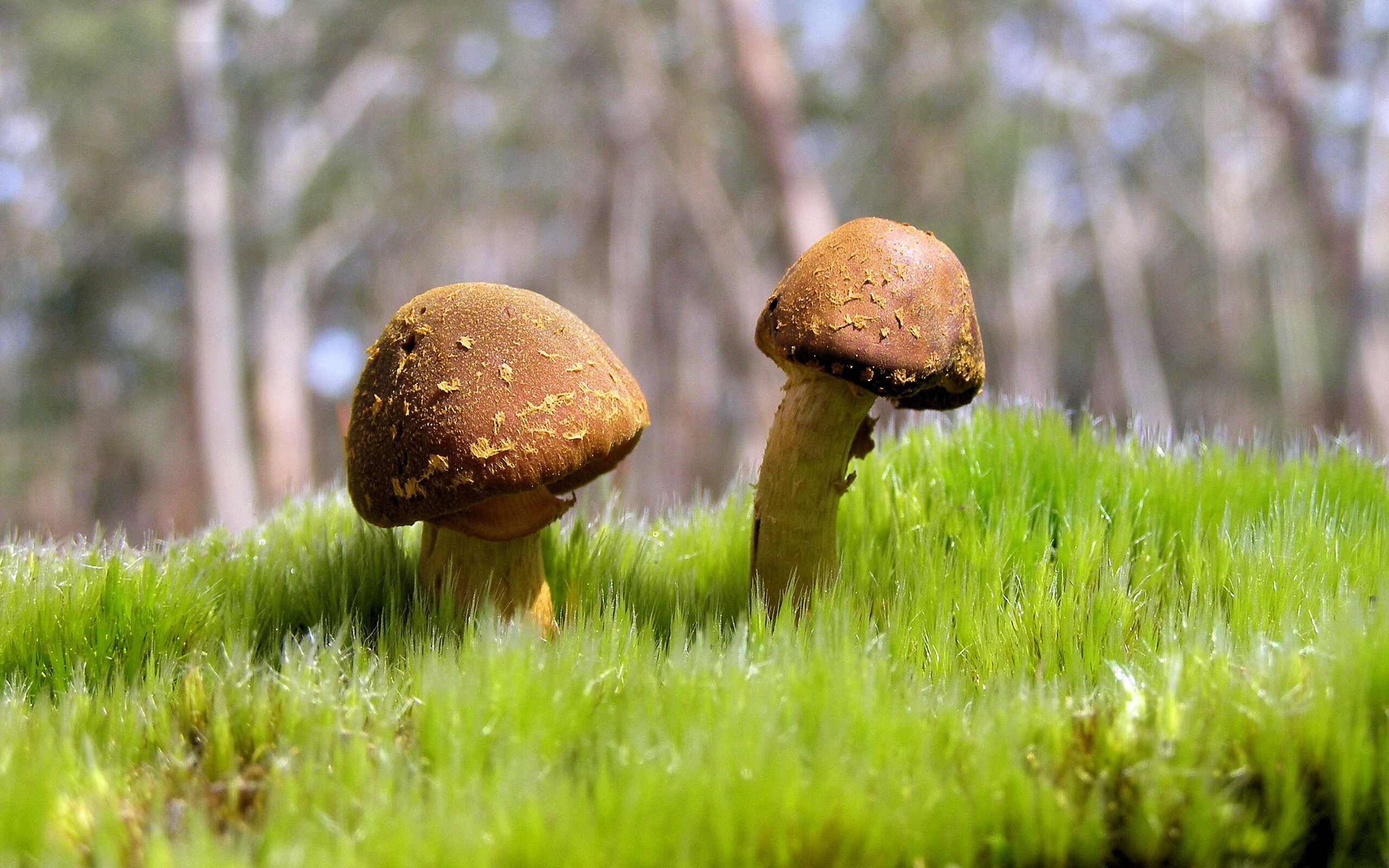 中国足球职业联赛推动绿色环保办赛理念,足球环保创意作品