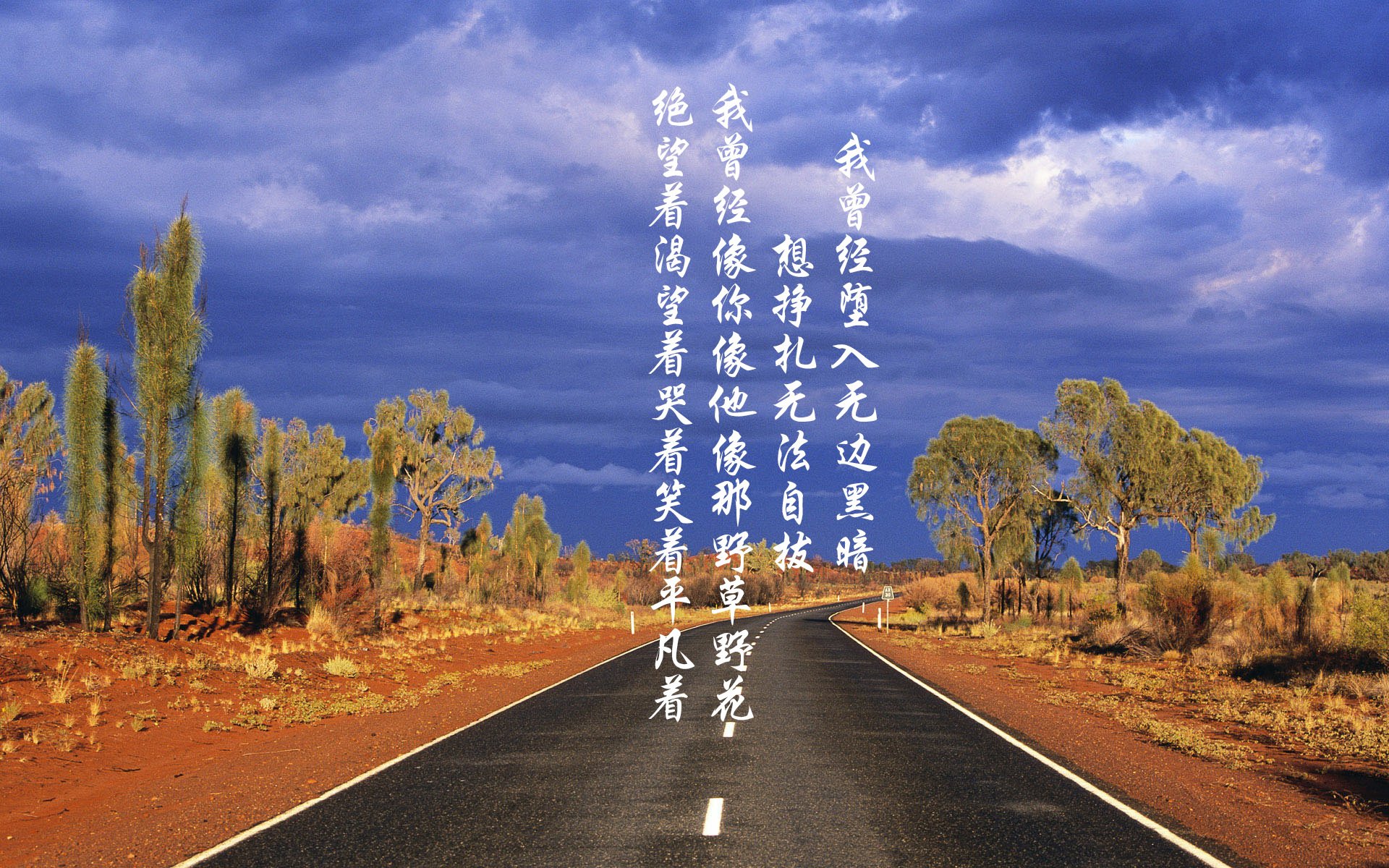 国际青少年足球锦标赛吸引全球顶尖青年队伍参赛,世界青少年足球锦标赛