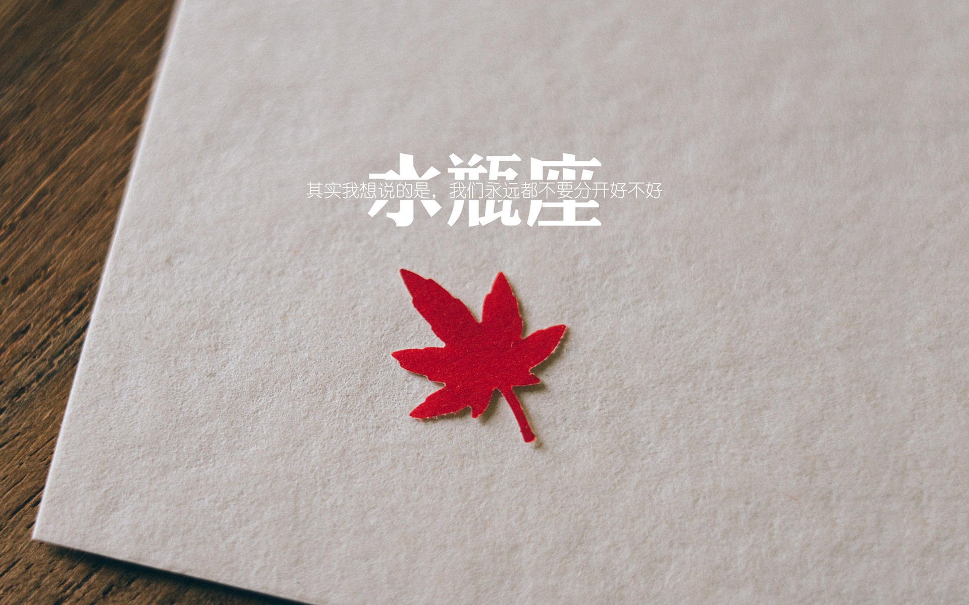 女子足球崛起 国际赛事精彩纷呈,女子足球2021