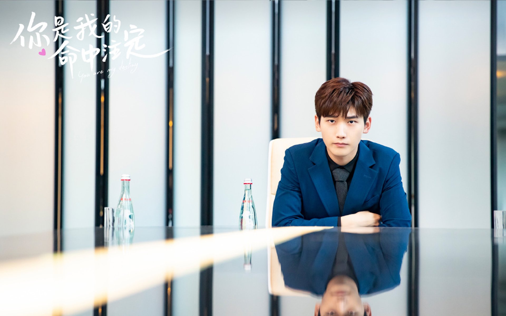 新西兰男子橄榄球队的年轻力量逐渐崭露头角,新西兰橄榄球队徽