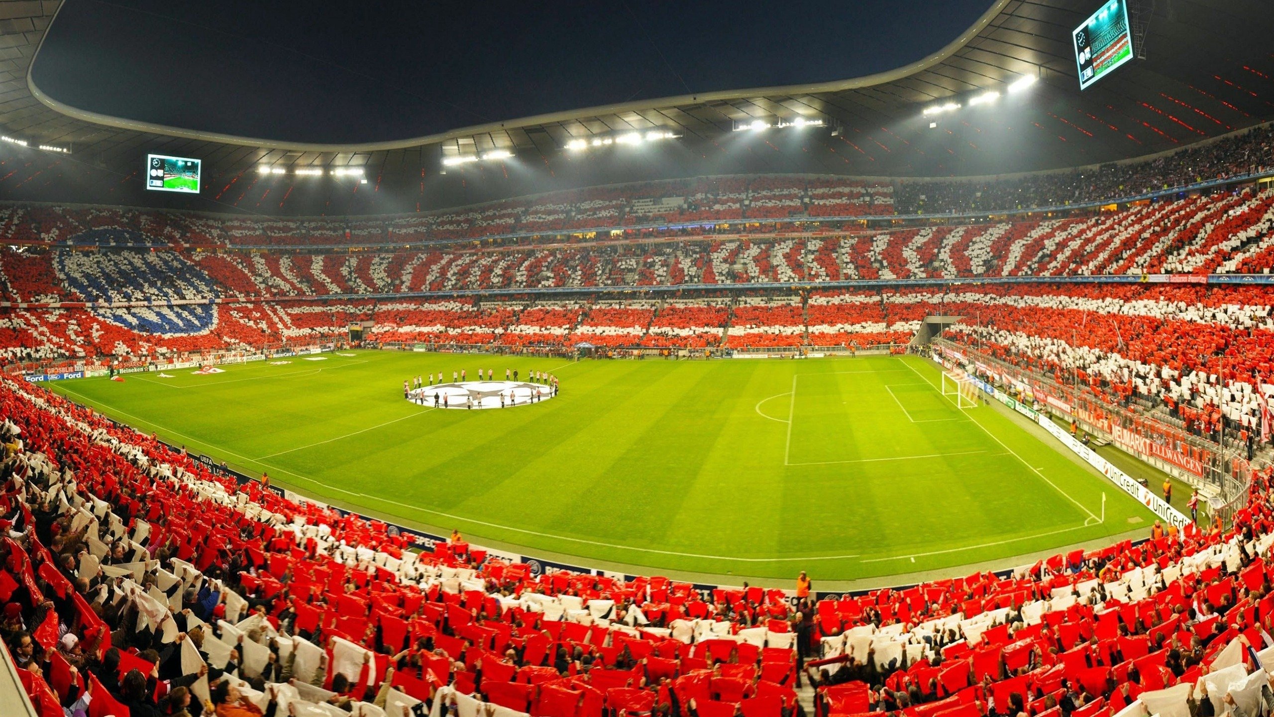 世界杯赛场的环保可持续措施,世界杯环保基金